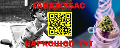 крисы Пенза