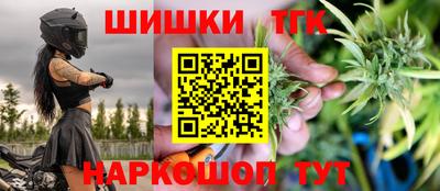 крисы Пенза