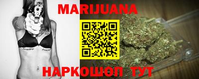 крисы Пенза