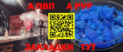 крисы Пенза