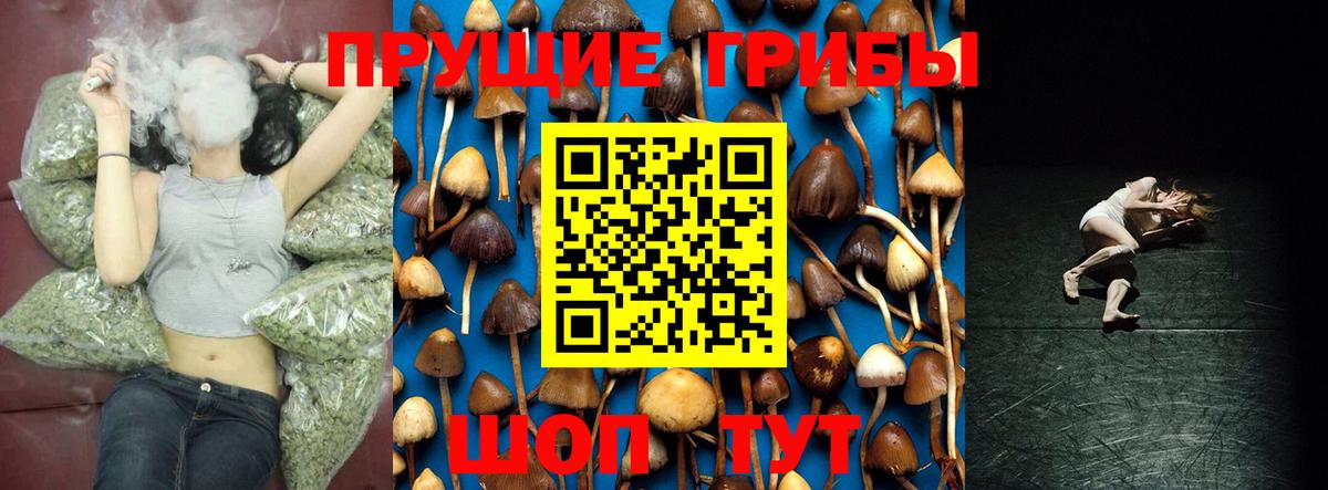 Псилоцибиновые грибы Magic Shrooms  Псилоцибиновые грибы прущие грибы  Советск  Вход с VPN 